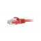 Hypernet PC-UTP-1M-RD Патч-корд литий червоний UTP, RJ45 1m, кат. 5Е. Photo 1